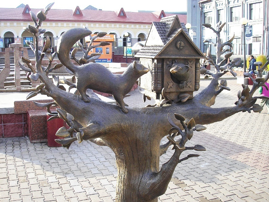 Фотография