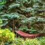 Гостиница Муссон, гамак, фото 10