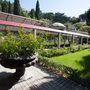 Гостиница Ripario Hotel Group, Парк, фото 17