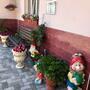 Гостевой дом Арарат, фото 6