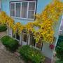 Гостиница Элис, Обзор территории.На 1этаже кухня общая https://youtu.be/3PANAikkg04, фото 13
