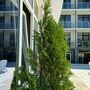Гостиница Cosmos Smart Sochi Tivoli Hotel, фото 5