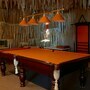 отель ДИСА, Бильярд в баре, фото 125